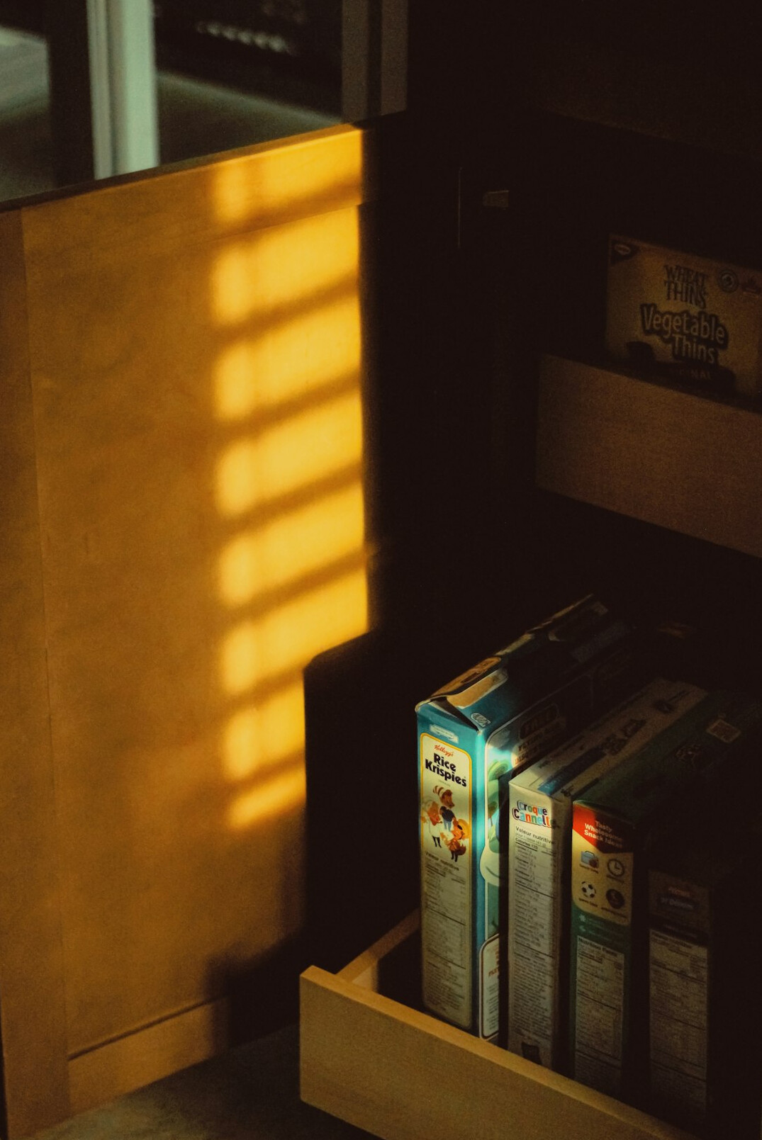 Shelves filled with old VHS videotapes and film archive boxes